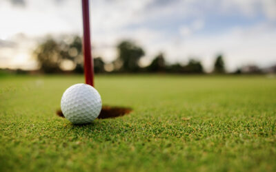 The sport of golf and the elements used in its practice, irons, tee and flagstick.